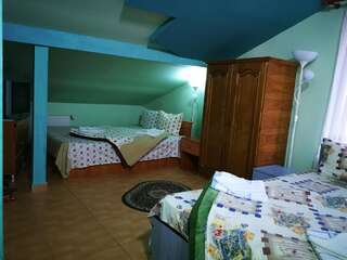 Гостевой дом Pensiunea Casa Monteoru Сэрата-Монтеору Стандартный двухместный номер с 1 кроватью или 2 отдельными кроватями-3